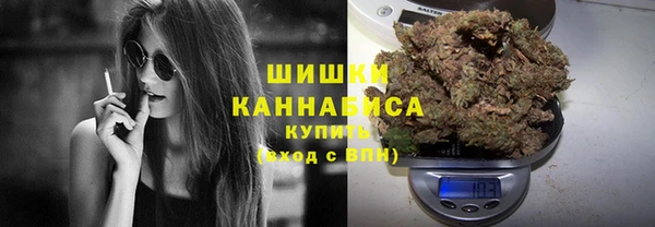 индика Магадан