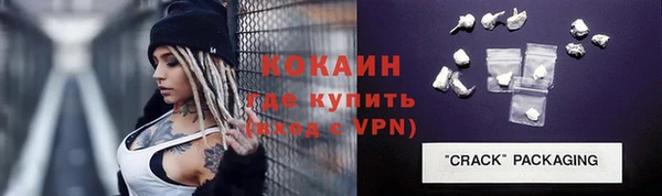 индика Володарск