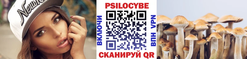 мега зеркало  Каспийск  Галлюциногенные грибы Cubensis 